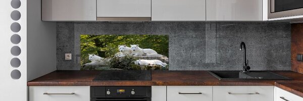 Panel do kuchyně Bílí vlci a skála pksh-93949837