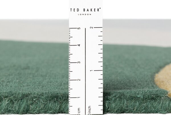 Ted Baker, Kusový koberec Ted Baker Hackney 106357 Vícebarevná, 120x170, vícebarevná, dětský pokoj