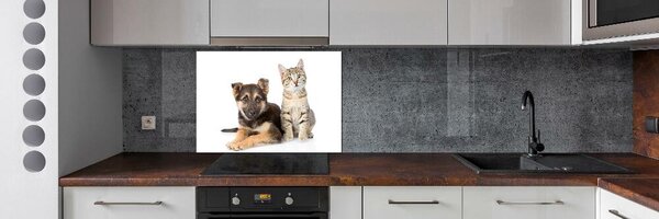 Dekorační panel sklo Pes a kočka pksh-94452483