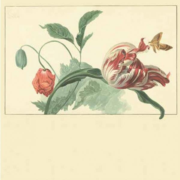 Květinová vliesová obrazová tapeta 358118, Masterpiece, Eijffinger