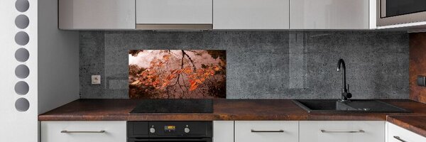Panel do kuchyně Listí na vodě pksh-94898362