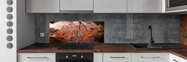 Panel do kuchyně Listí na vodě pksh-94898362