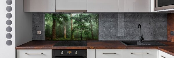 Dekorační panel sklo Mlha v lese pksh-95330664
