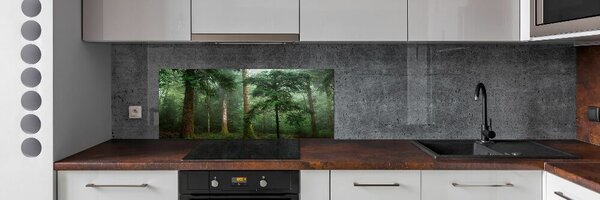 Dekorační panel sklo Mlha v lese pksh-95330664