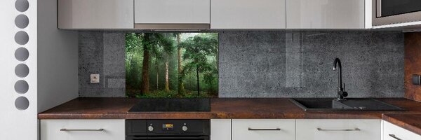 Dekorační panel sklo Mlha v lese pksh-95330664