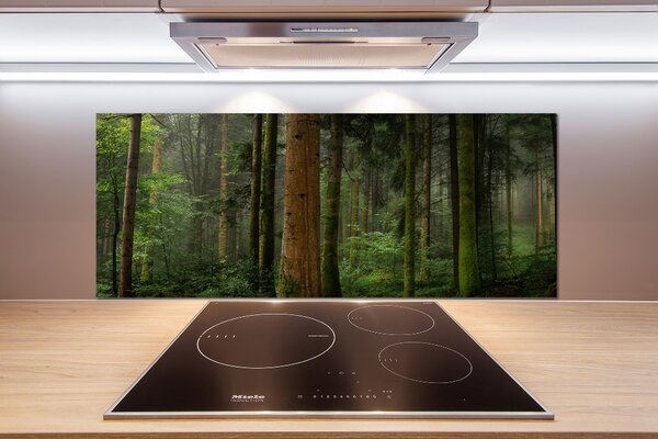 Dekorační panel sklo Mlha v lese pksh-95353064