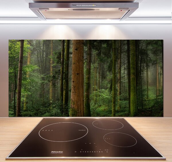 Dekorační panel sklo Mlha v lese pksh-95353064