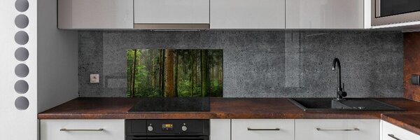 Dekorační panel sklo Mlha v lese pksh-95353064