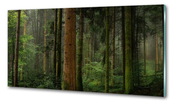 Dekorační panel sklo Mlha v lese pksh-95353064