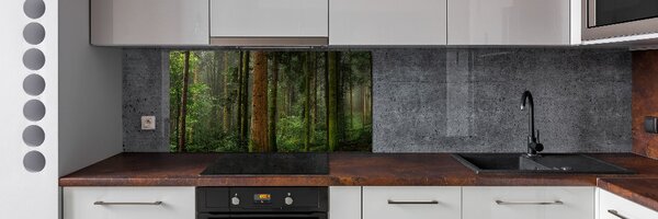 Dekorační panel sklo Mlha v lese pksh-95353064