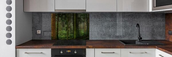 Dekorační panel sklo Mlha v lese pksh-95353064