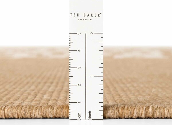 Ted Baker, Kusový koberec Ted Baker Haringey 106377 Natural White, 120x170, béžová, chodba / předsíň