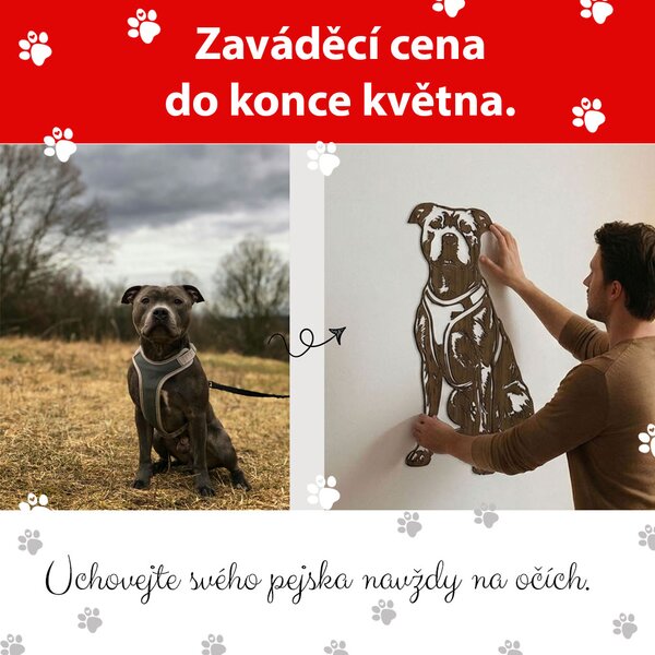 Dřevěná dekorace pejska z vaší fotografie Zvolte barvu dekoru: Ořech | Delší strana: 40