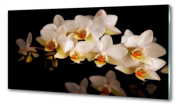 Skleněný panel do kuchynské linky Orchidej pksh-95410450