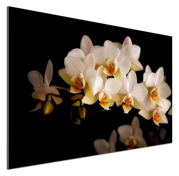 Skleněný panel do kuchynské linky Orchidej pksh-95410450