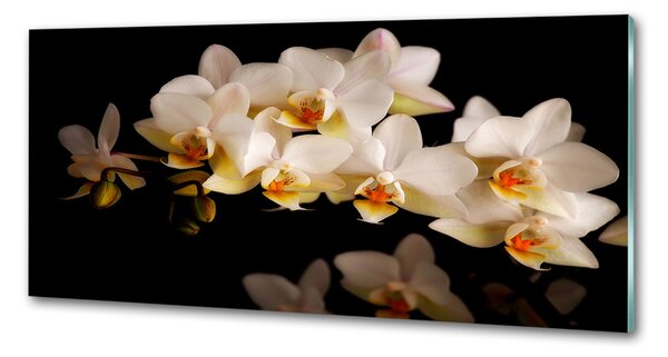 Skleněný panel do kuchynské linky Orchidej pksh-95410450