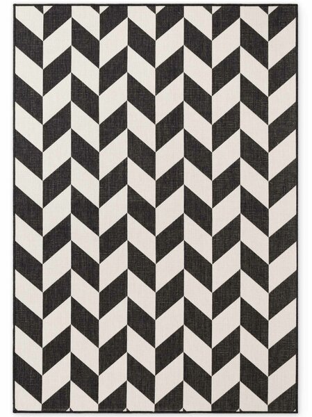 Ted Baker, Kusový koberec Ted Baker Haringey 106378 Black White, 120x170, černobílá, chodba / předsíň