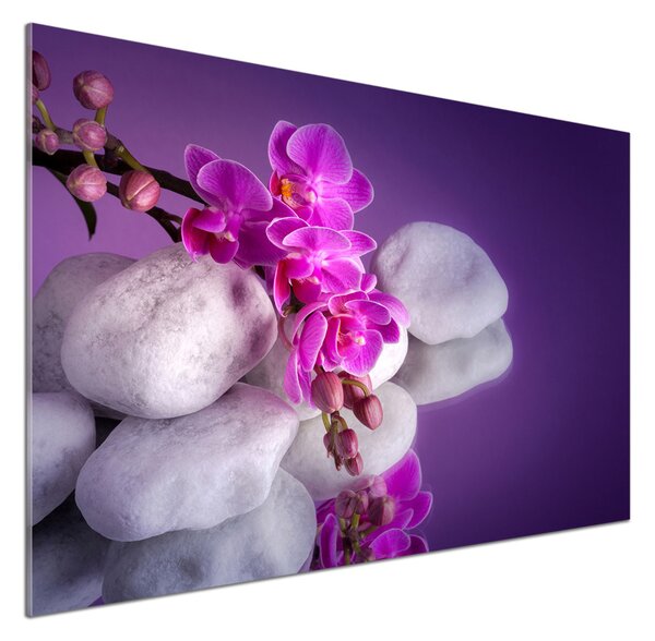Skleněný panel do kuchynské linky Orchidej pksh-95985496