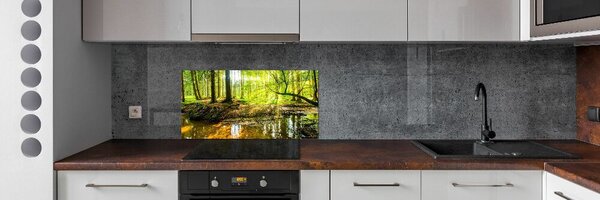 Panel do kuchyně Rybník v lese pksh-96124300