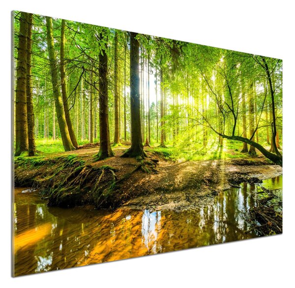 Panel do kuchyně Rybník v lese pksh-96124300