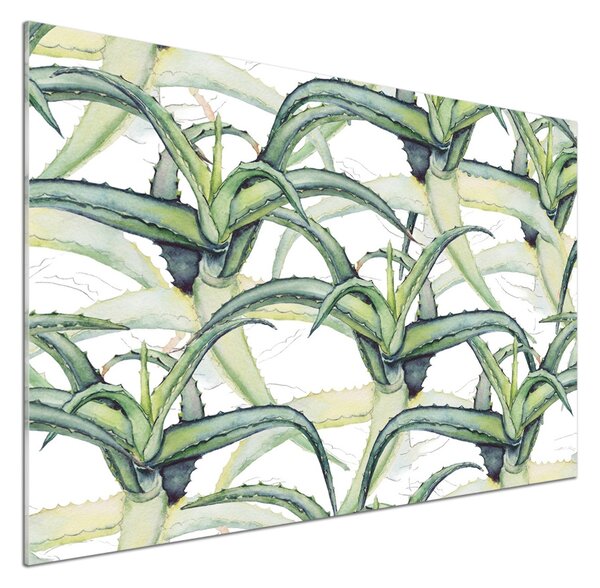 Skleněný panel do kuchyně Aloes pksh-96215866