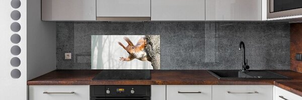 Skleněný panel do kuchynské linky Veverka pksh-97008260