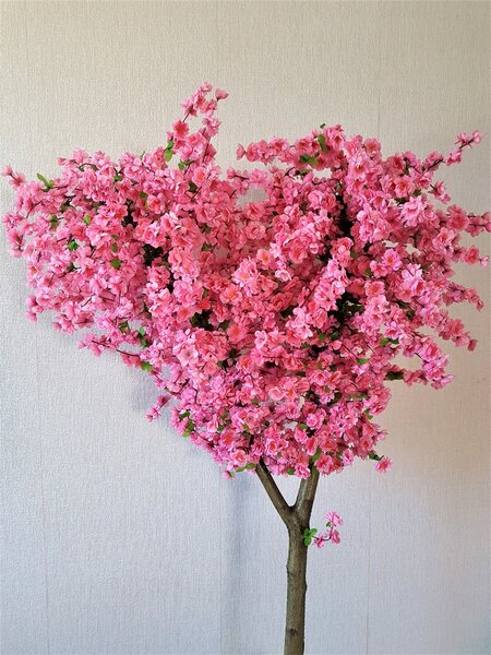 Kvetoucí strom- sakura 160 cm