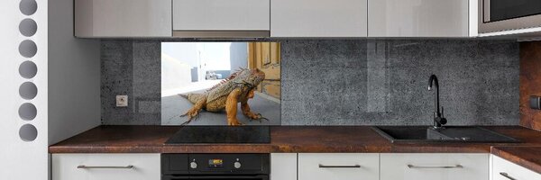 Skleněný panel do kuchyně Iguana pksh-97700993