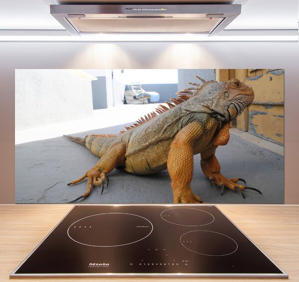 Skleněný panel do kuchyně Iguana pksh-97700993