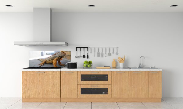 Skleněný panel do kuchyně Iguana pksh-97700993