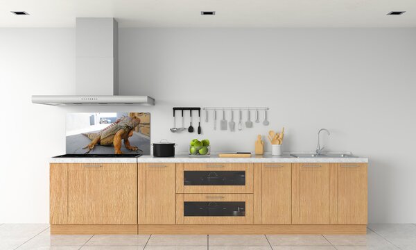 Skleněný panel do kuchyně Iguana pksh-97700993