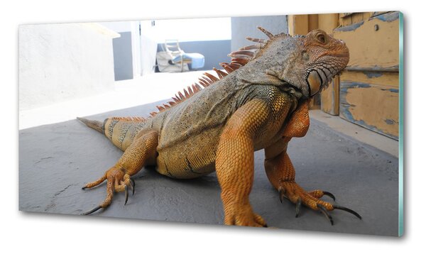 Skleněný panel do kuchyně Iguana pksh-97700993