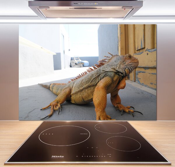 Skleněný panel do kuchyně Iguana pksh-97700993