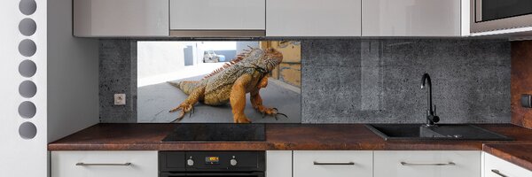 Skleněný panel do kuchyně Iguana pksh-97700993