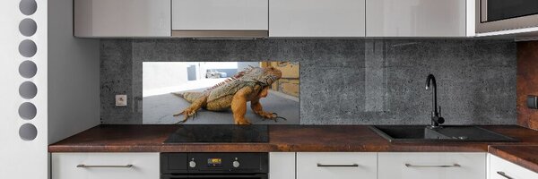 Skleněný panel do kuchyně Iguana pksh-97700993