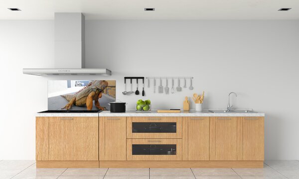 Skleněný panel do kuchyně Iguana pksh-97700993