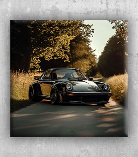Obraz Porsche na cestě 02