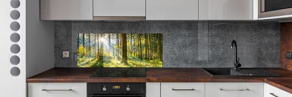 Dekorační panel sklo Les slunce pksh-98252702