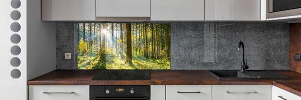 Dekorační panel sklo Les slunce pksh-98252702