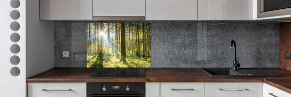 Dekorační panel sklo Les slunce pksh-98252702