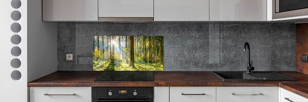 Dekorační panel sklo Les slunce pksh-98252702