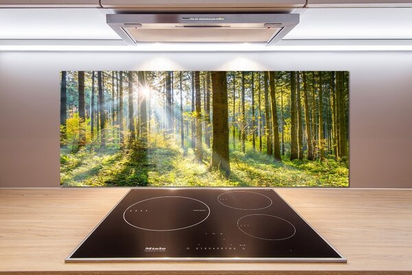 Dekorační panel sklo Les slunce pksh-98252702