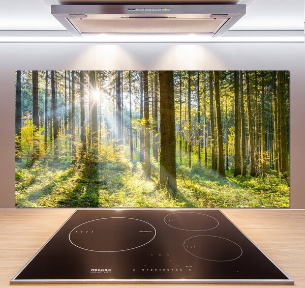 Dekorační panel sklo Les slunce pksh-98252702