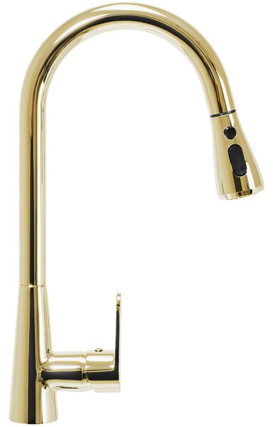 Kuchyňská baterie Rea Mild gold
