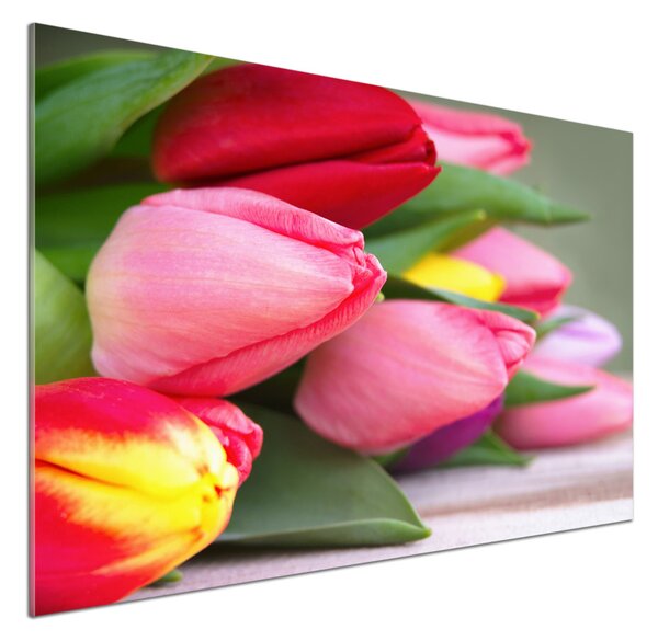 Panel do kuchyně Barevné tulipány pksh-98761222
