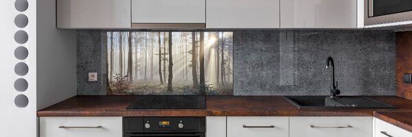 Dekorační panel sklo Mlha v lese pksh-98968412