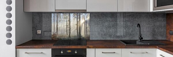 Dekorační panel sklo Mlha v lese pksh-98968412