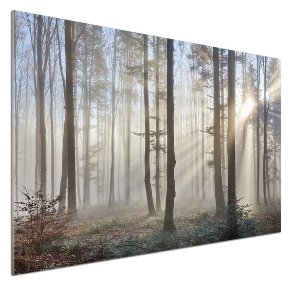 Dekorační panel sklo Mlha v lese pksh-98968412