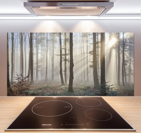 Dekorační panel sklo Mlha v lese pksh-98968412