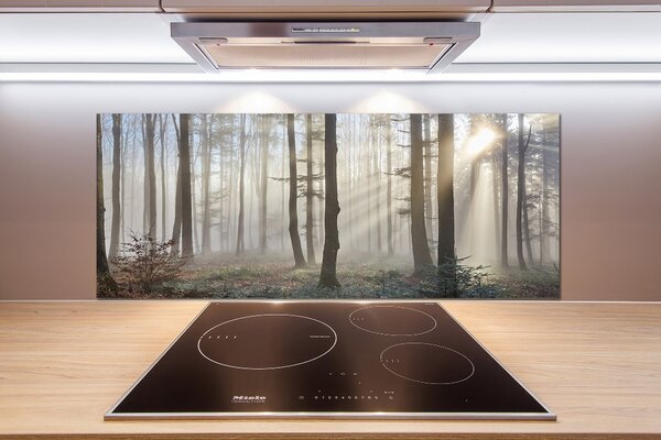 Dekorační panel sklo Mlha v lese pksh-98968412
